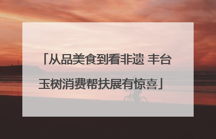 从品美食到看非遗 丰台玉树消费帮扶展有惊喜