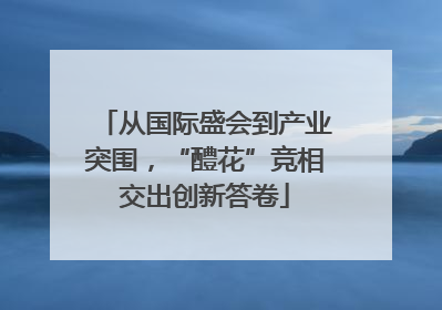 从国际盛会到产业突围，“醴花”竞相交出创新答卷