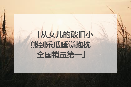 从女儿的破旧小熊到乐瓜睡觉抱枕全国销量第一