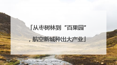 从枣树林到“百果园”，航空新城种出大产业