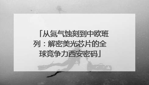 从氮气蚀刻到中欧班列：解密美光芯片的全球竞争力西安密码