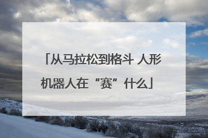 从马拉松到格斗 人形机器人在“赛”什么