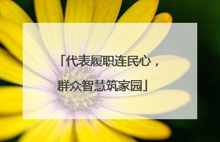 代表履职连民心，群众智慧筑家园