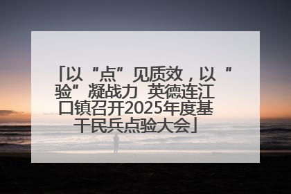 以“点”见质效，以“验”凝战力  英德连江口镇召开2025年度基干民兵点验大会