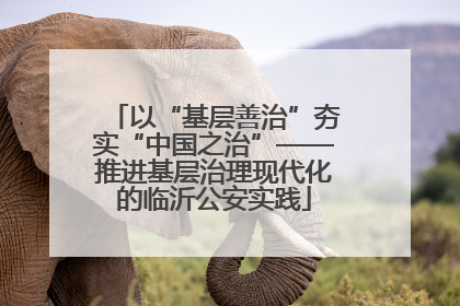 以“基层善治”夯实“中国之治”——推进基层治理现代化的临沂公安实践