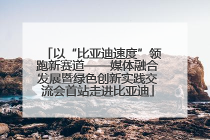 以“比亚迪速度”领跑新赛道——媒体融合发展暨绿色创新实践交流会首站走进比亚迪