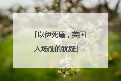 以伊死磕，美国入场前的犹疑