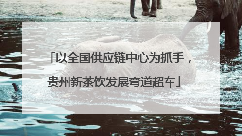 以全国供应链中心为抓手，贵州新茶饮发展弯道超车