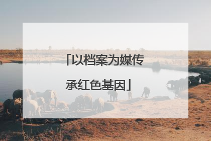 以档案为媒传承红色基因