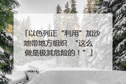 以色列正“利用”加沙地带地方组织  “这么做是极其危险的！”