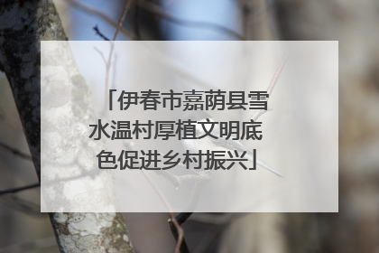 伊春市嘉荫县雪水温村厚植文明底色促进乡村振兴