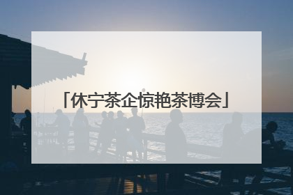 休宁茶企惊艳茶博会