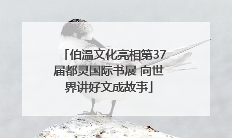 伯温文化亮相第37届都灵国际书展 向世界讲好文成故事