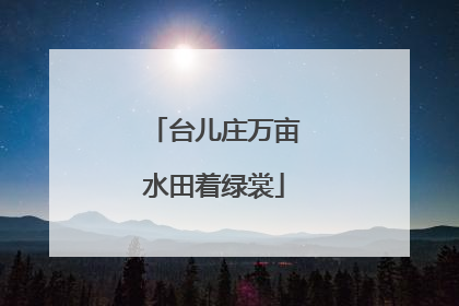 台儿庄万亩水田着绿裳