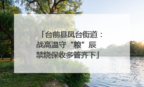 台前县凤台街道：战高温守“粮”辰 禁烧保收多管齐下