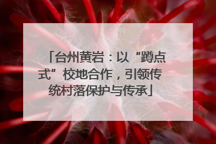 台州黄岩：以“蹲点式”校地合作，引领传统村落保护与传承