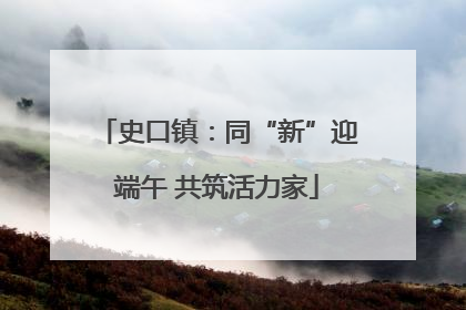 史口镇：同“新”迎端午 共筑活力家