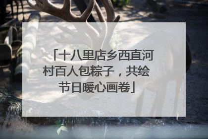 十八里店乡西直河村百人包粽子，共绘节日暖心画卷