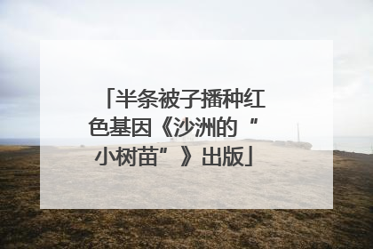 半条被子播种红色基因《沙洲的“小树苗”》出版