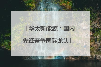 华太新能源：国内先锋奋争国际龙头