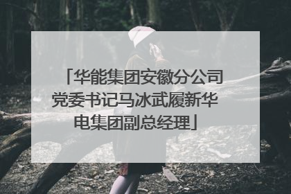 华能集团安徽分公司党委书记马冰武履新华电集团副总经理