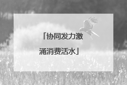 协同发力激涌消费活水