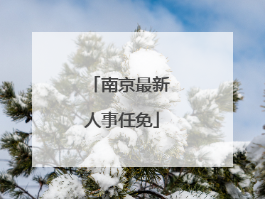 南京最新人事任免
