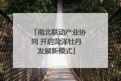 南北联动产业协同 开启菏泽牡丹发展新模式