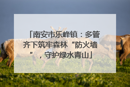 南安市乐峰镇：多管齐下筑牢森林“防火墙”，守护绿水青山