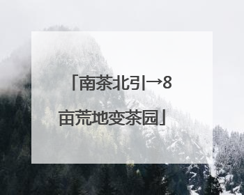 南茶北引→8亩荒地变茶园