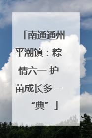 南通通州平潮镇：粽情六一 护苗成长多一“典”