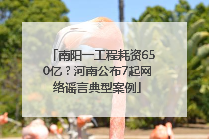 南阳一工程耗资650亿？河南公布7起网络谣言典型案例
