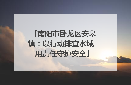 南阳市卧龙区安皋镇：以行动排查水域 用责任守护安全