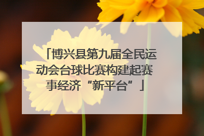 博兴县第九届全民运动会台球比赛构建起赛事经济“新平台”