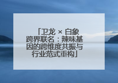 卫龙 × 白象跨界联名：辣味基因的跨维度共振与行业范式重构