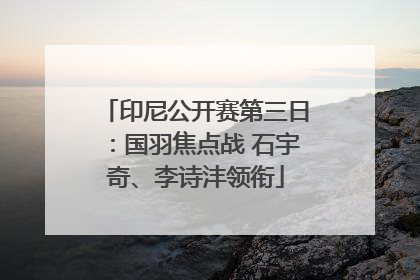 印尼公开赛第三日：国羽焦点战 石宇奇、李诗沣领衔