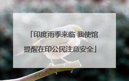 印度雨季来临 我使馆提醒在印公民注意安全