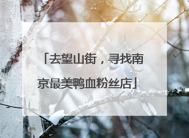 去望山街，寻找南京最美鸭血粉丝店
