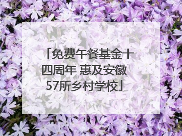免费午餐基金十四周年 惠及安徽57所乡村学校