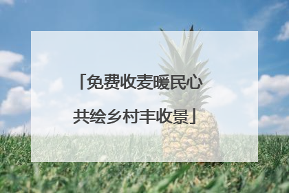 免费收麦暖民心 共绘乡村丰收景
