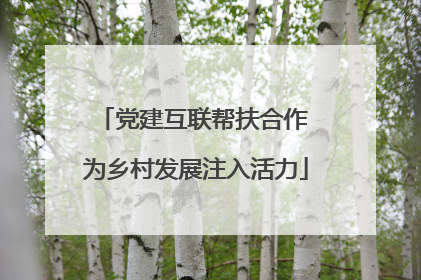 党建互联帮扶合作 为乡村发展注入活力