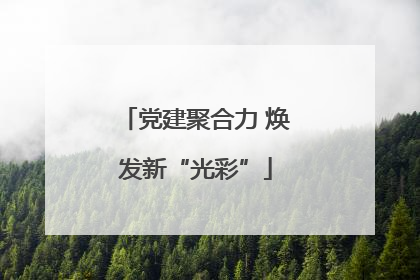 党建聚合力 焕发新“光彩”