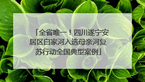 全省唯一！四川遂宁安居区白家河入选母亲河复苏行动全国典型案例