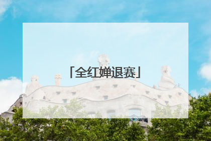 全红婵退赛