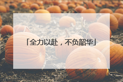 全力以赴，不负韶华