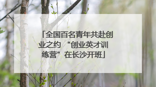全国百名青年共赴创业之约 “创业英才训练营”在长沙开班