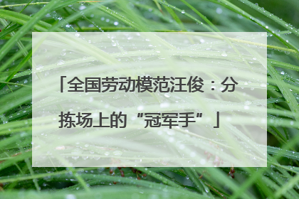 全国劳动模范汪俊：分拣场上的“冠军手”