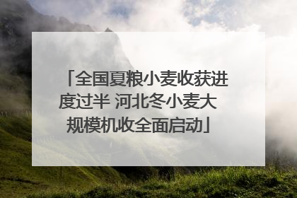 全国夏粮小麦收获进度过半 河北冬小麦大规模机收全面启动