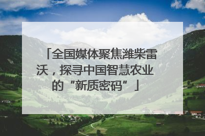 全国媒体聚焦潍柴雷沃，探寻中国智慧农业的“新质密码”