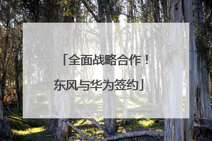 全面战略合作！东风与华为签约